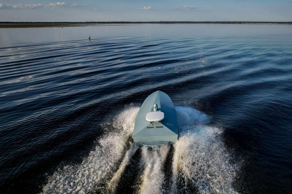   Sea Baby.        dqxikeidqxidqrant