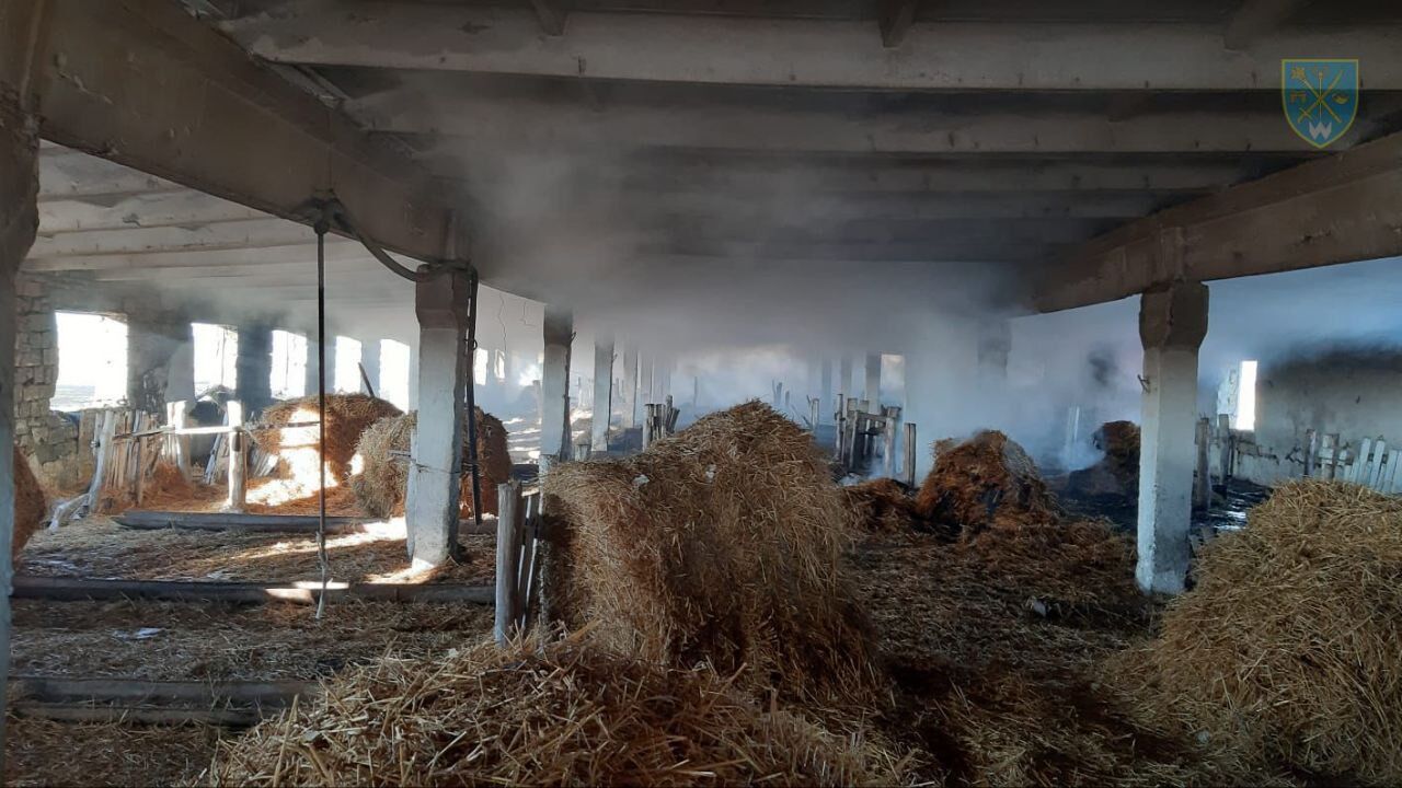 Окупанти вранці завдали ракетного удару по Одещині: є приліт по агропідприємству. Фото і відео