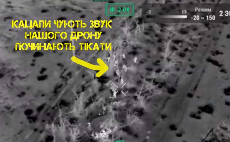 В ВСУ показали, как одним дроном выбили окупантов из занятой позиции. Видео dqxikeidqxidqeant