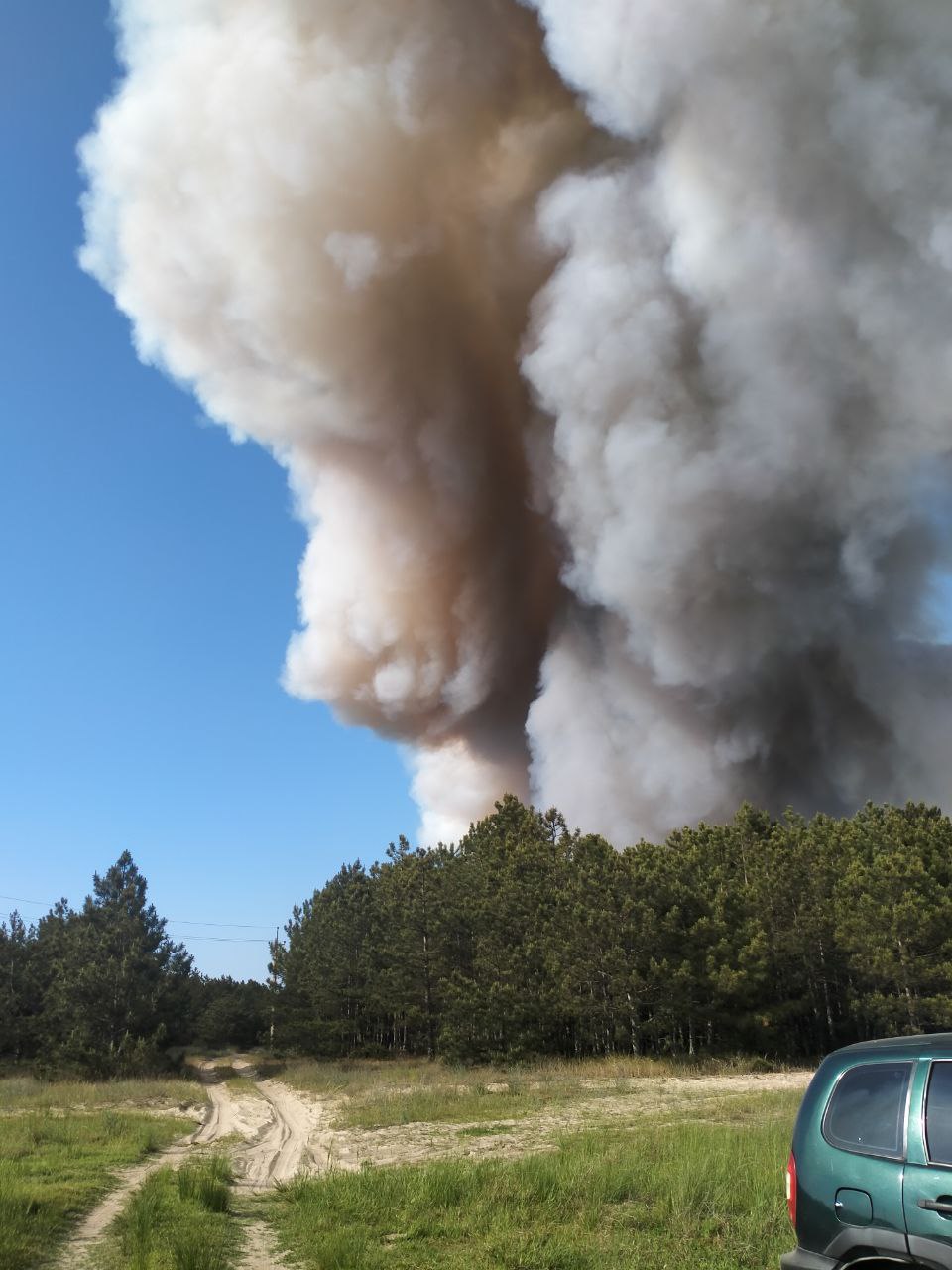 Пожар в Национальном природном парке Белобережья Святослава