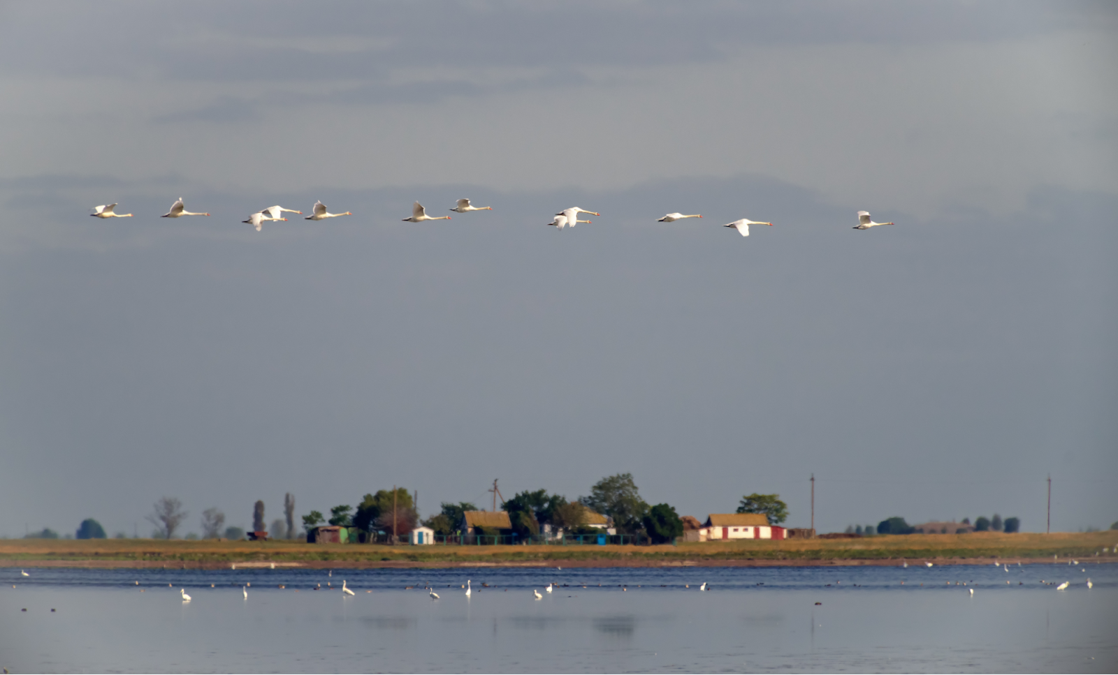 Черноморский биосферный резерват