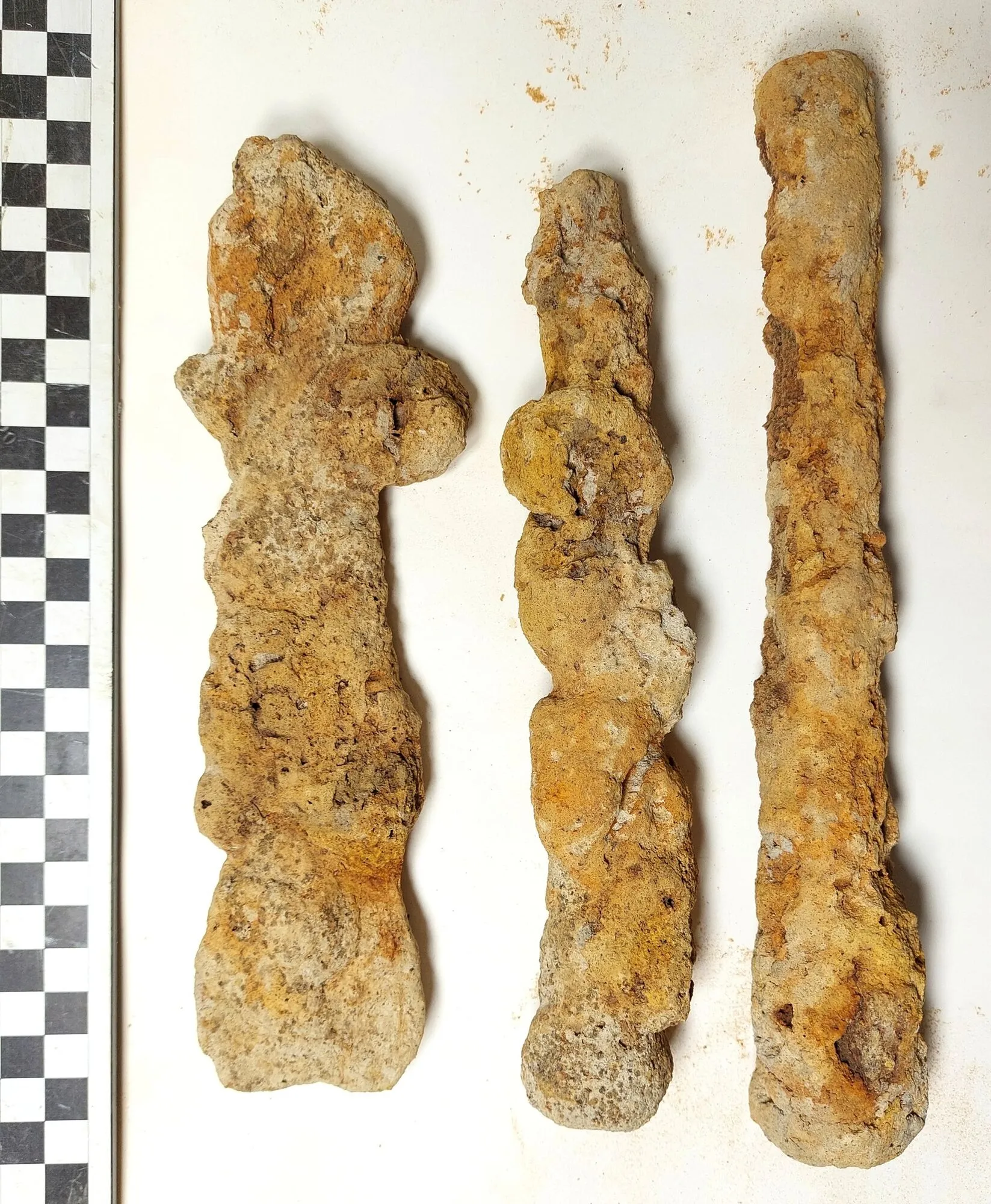 У Польщі поблизу українського кордону виявили залізний скарб римської доби (фото)