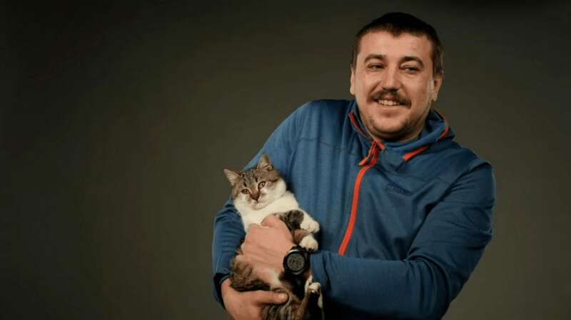 Кіт Сирський dqxikeidqxidqeant