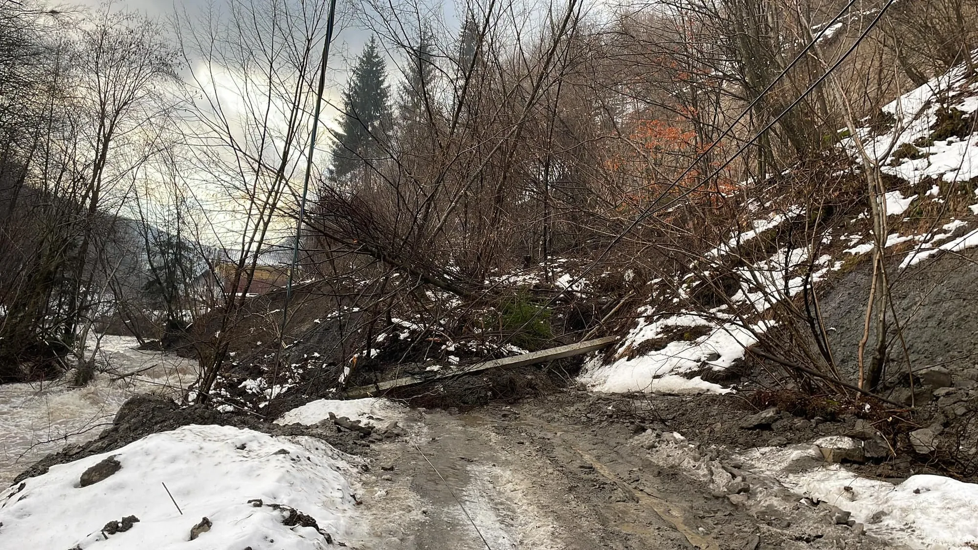   -      .   dqxikeidqxiuuant