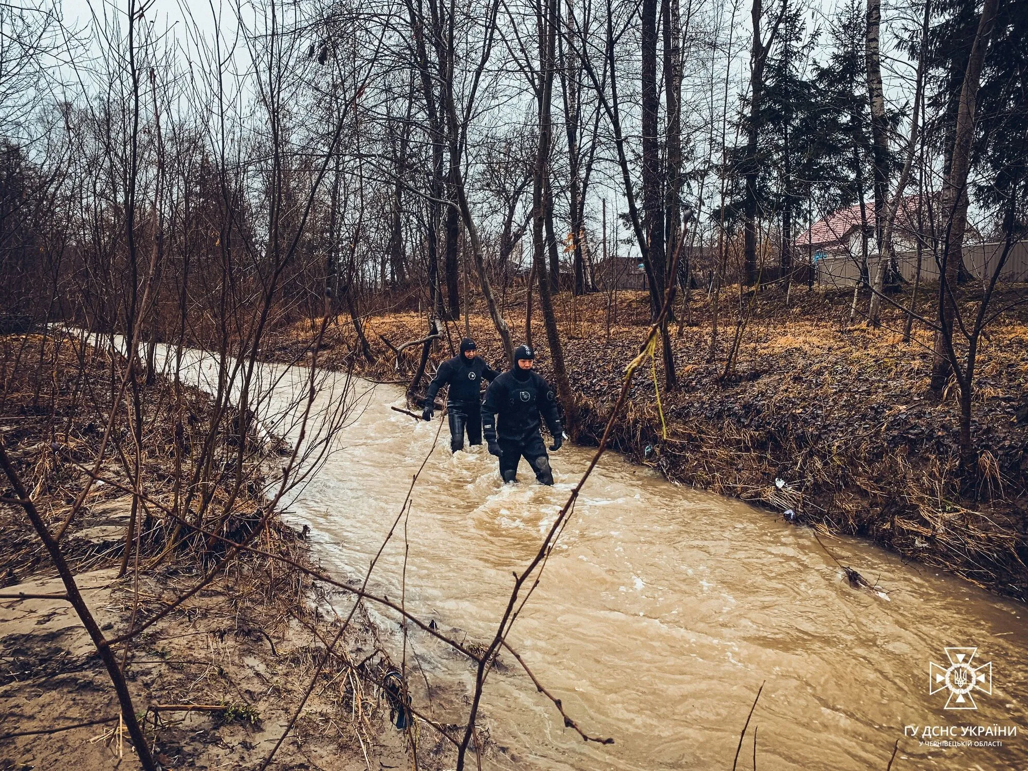 Группа водолазов