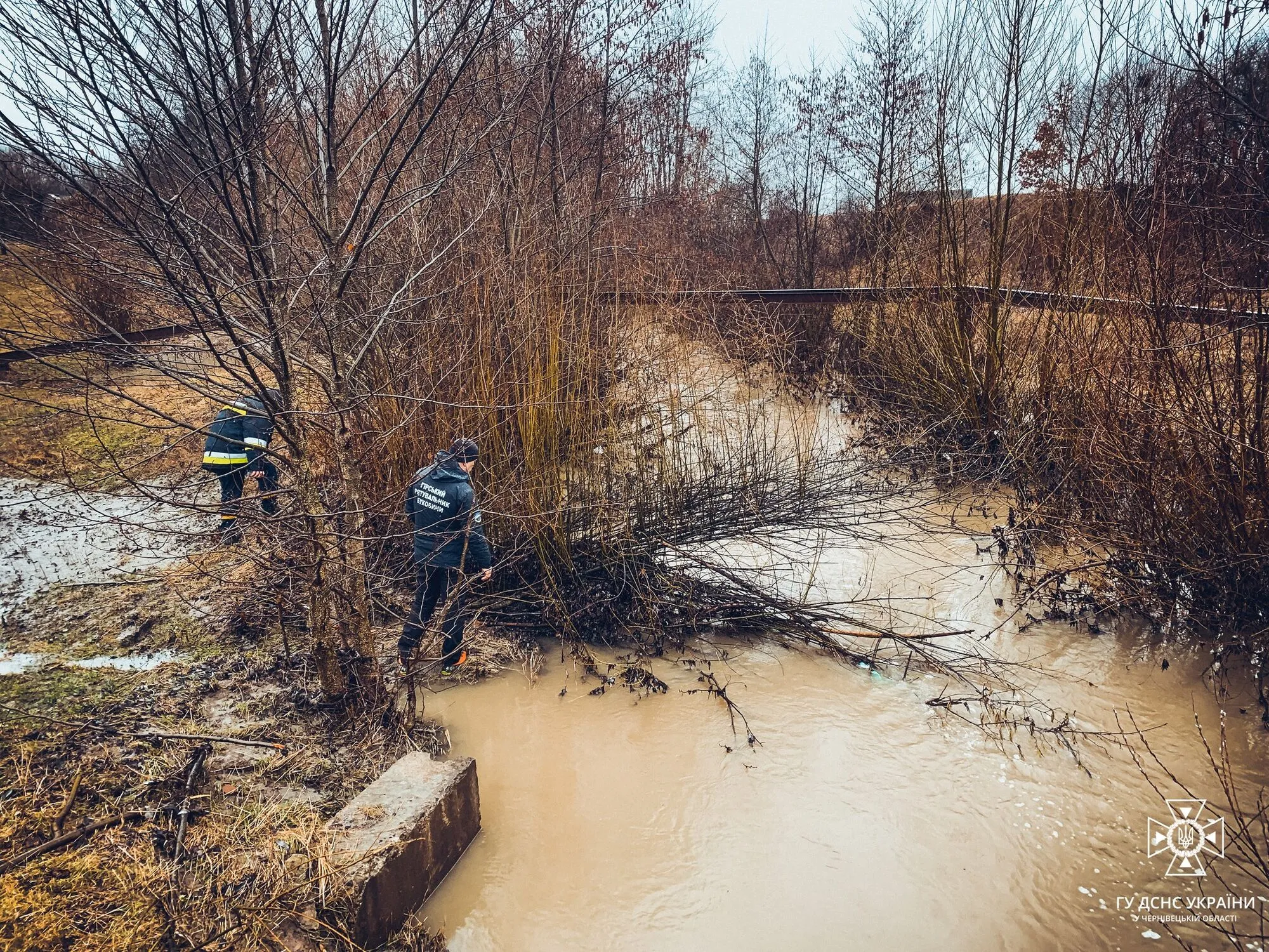 Девочку искали всю ночь