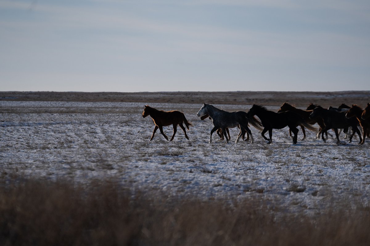 . :   dqxikeidqxidqrant