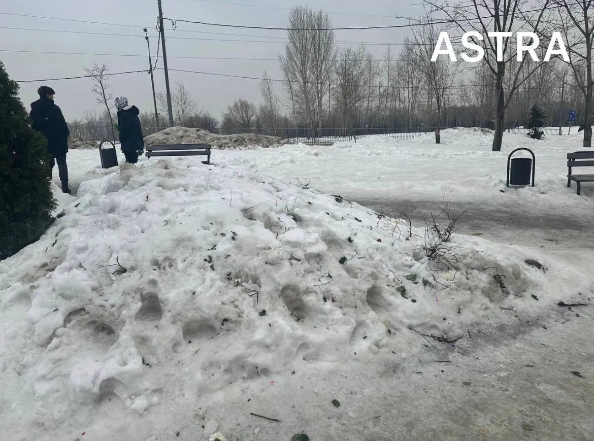 Российские коммунальщики везде уничтожили мемориалы Навальному: все цветы выбросили. Фото