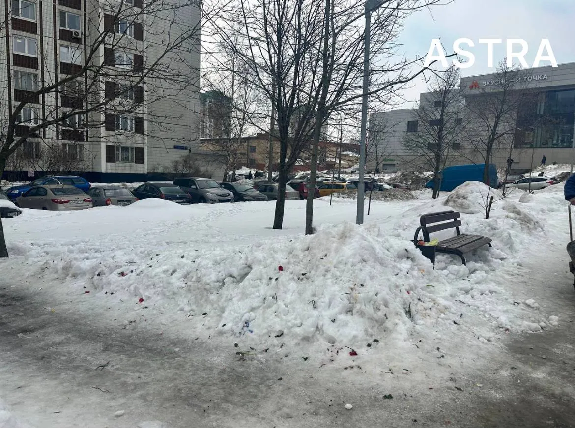 Российские коммунальщики везде уничтожили мемориалы Навальному: все цветы выбросили. Фото