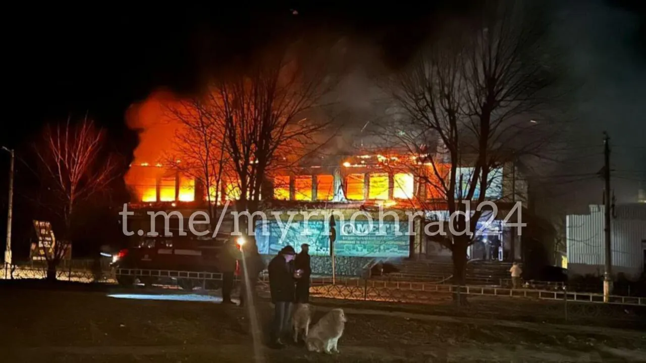   :       dqxikeidqxidqeant