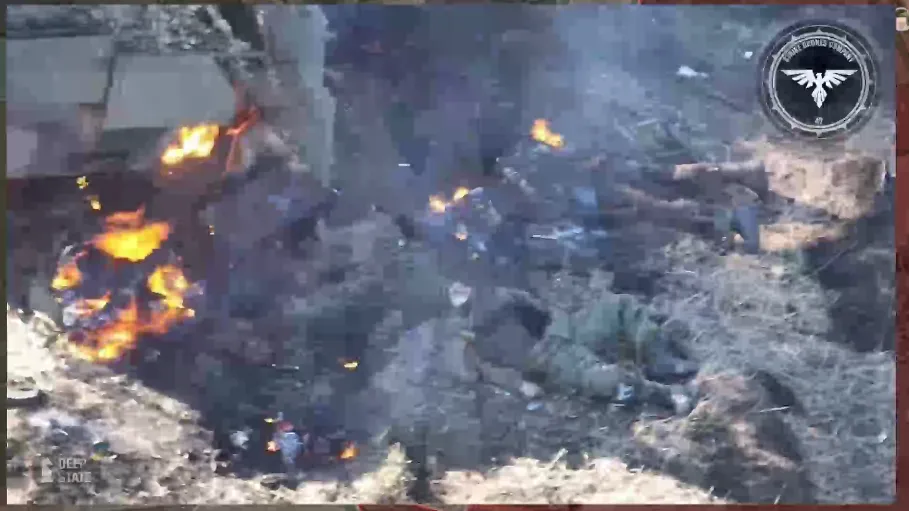 Українські військові розбили окупантів під час спроби штурмувати Бердичі: у мережі з’явилося відео