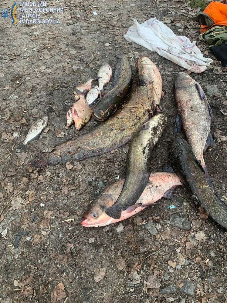 Нет описания фото. dqxikeidqxiuuant