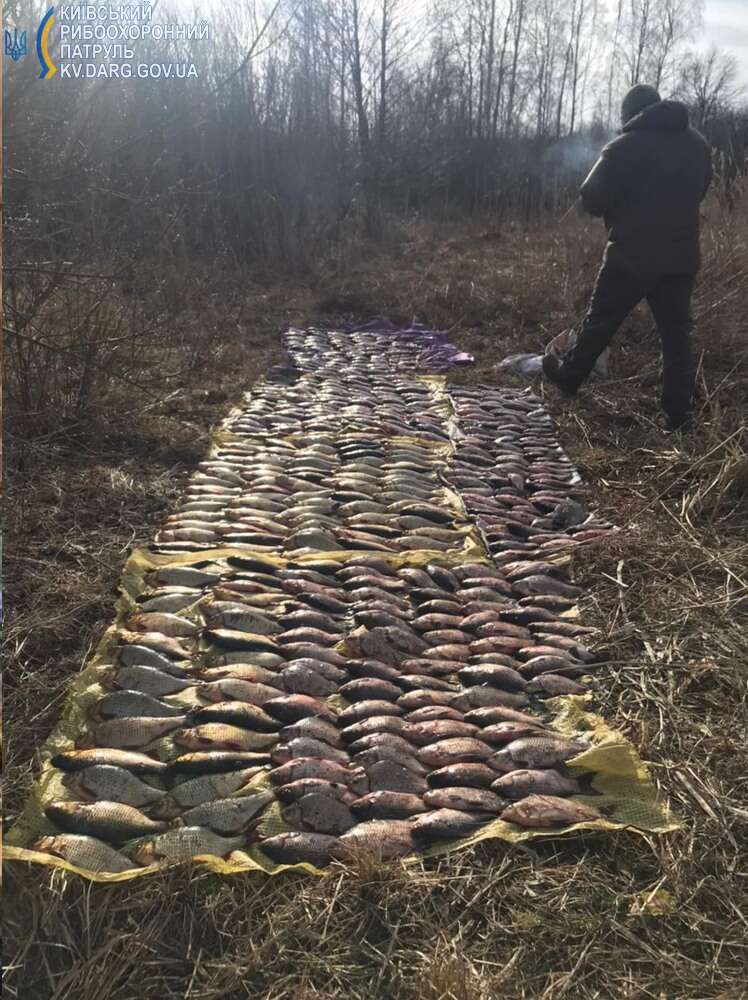 Возможно, это изображение 1 человек