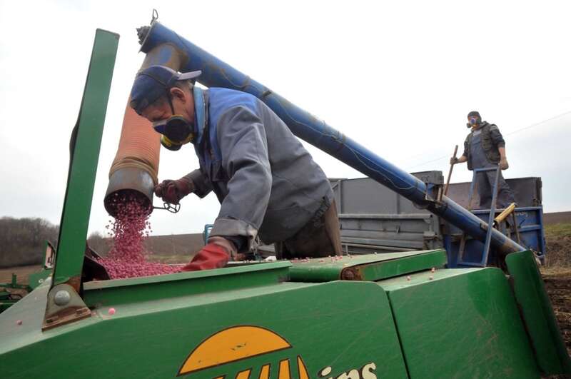 посівна Дефіцит кваліфікованих кадрів в агропромисловості, який був і до війни, зараз відчувається особливо гостро