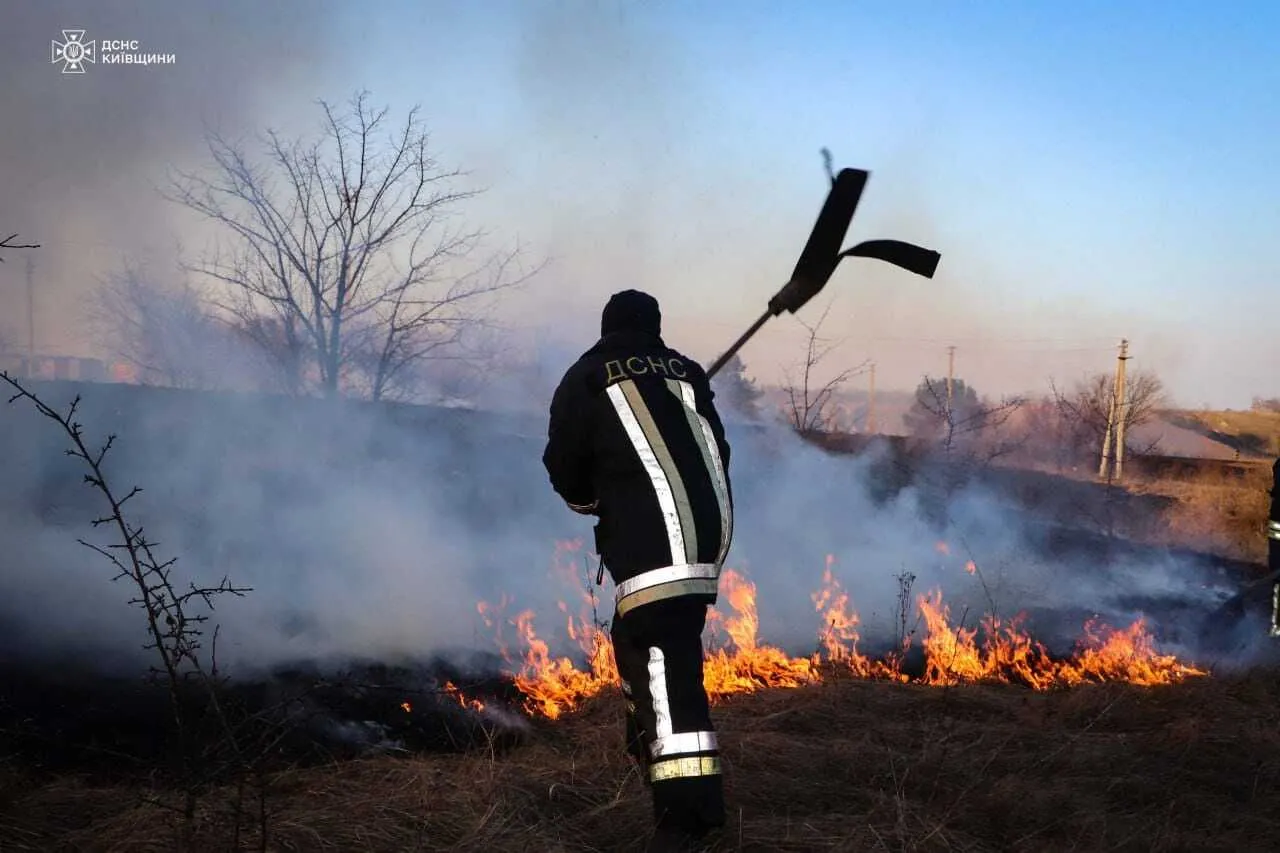 На Київщині сталась масштабна пожежа: відомо подробиці. Фото і відео