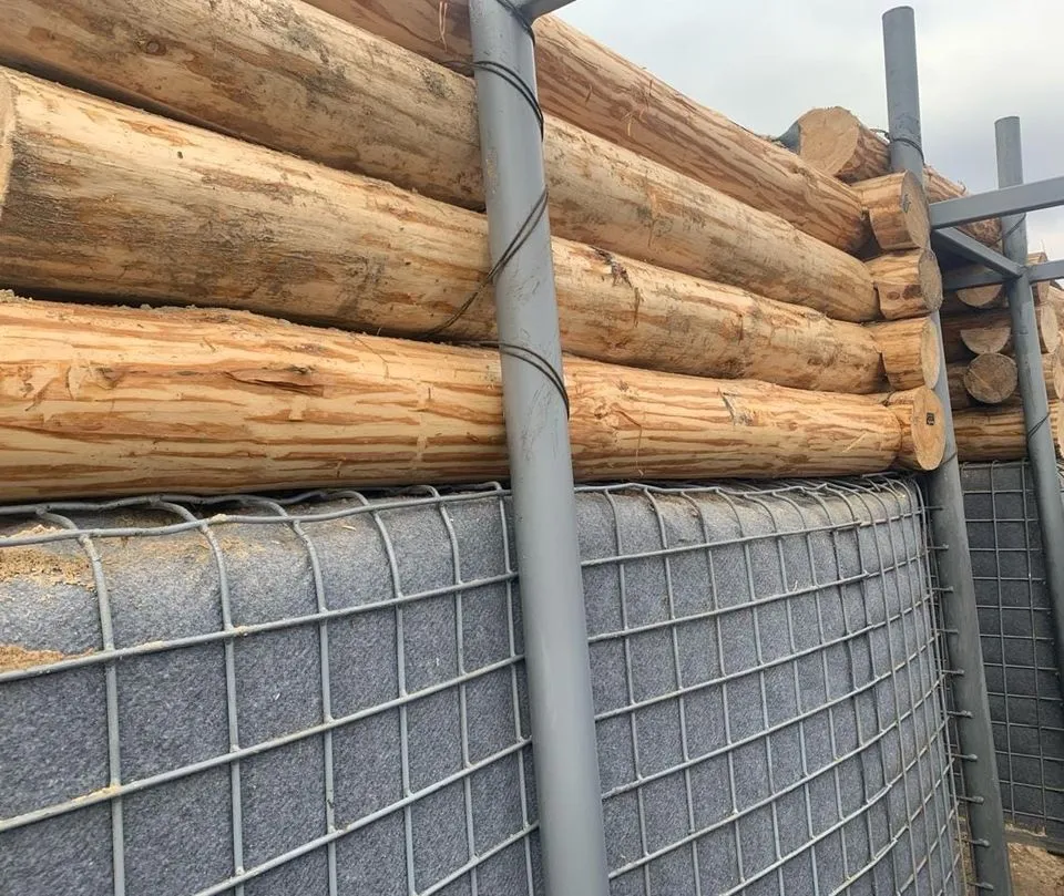 Невибухові загородження і ВОПи: на півночі Рівненщини зводять нові фортифікації. Фото