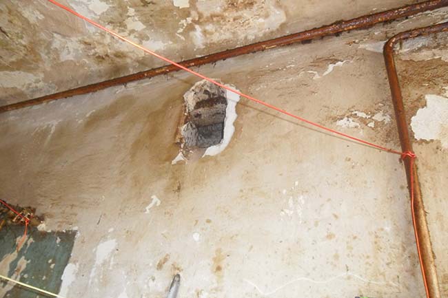 Фото Любови Овчинниковой truschebi15