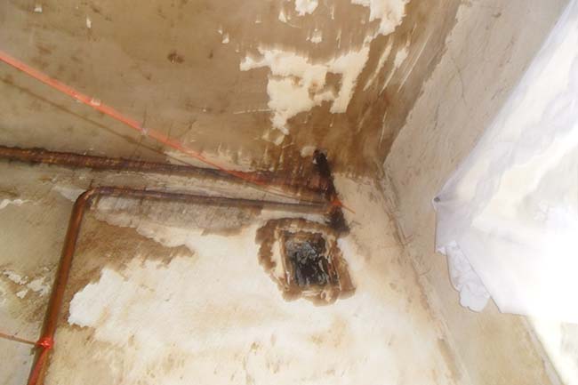 Фото Любови Овчинниковой truschebi16