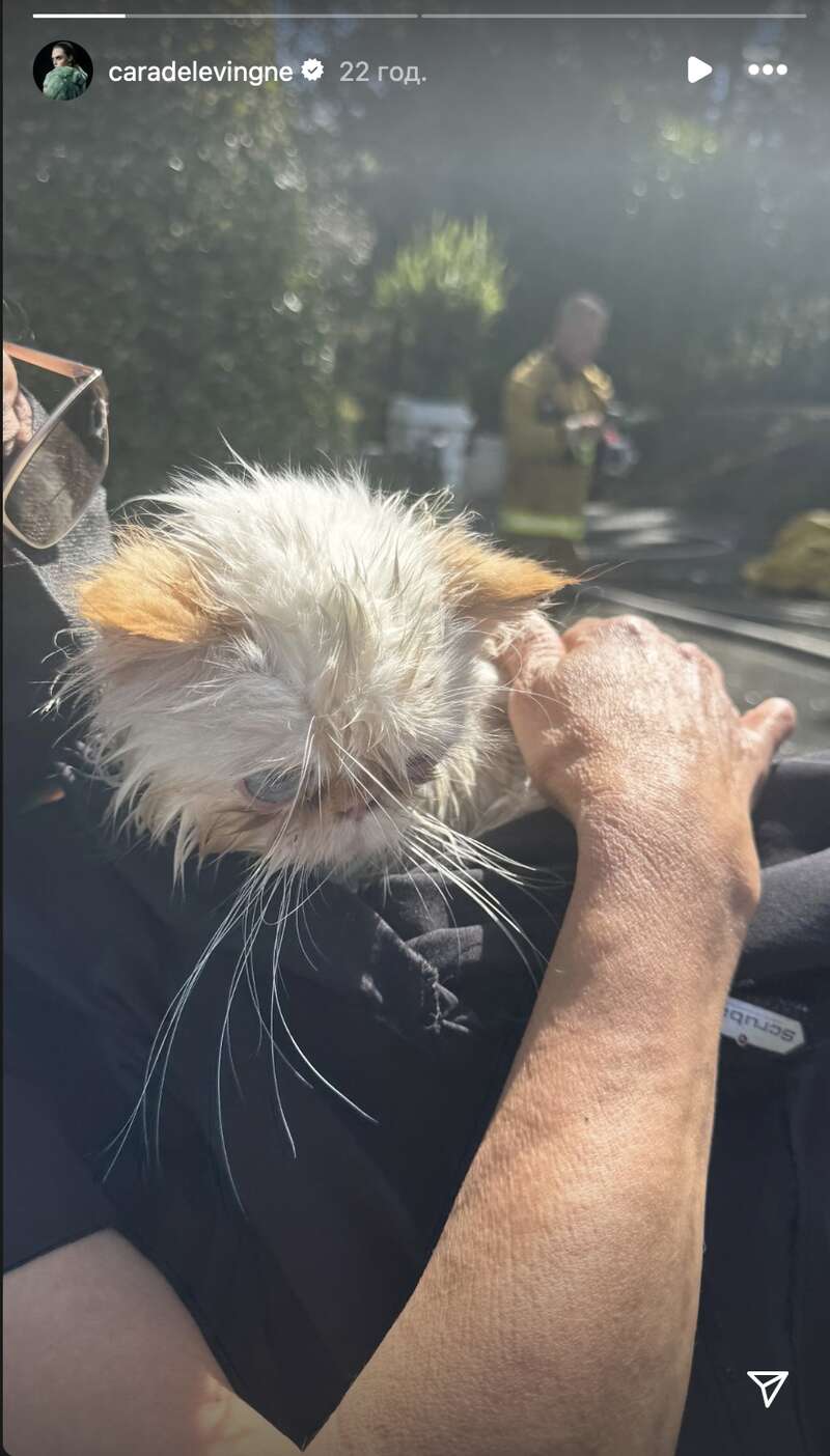 Казковий маєток відомої моделі й акторки Кари Делевінь за $7 млн згорів ущент: який вигляд мав будинок до та після пожежі