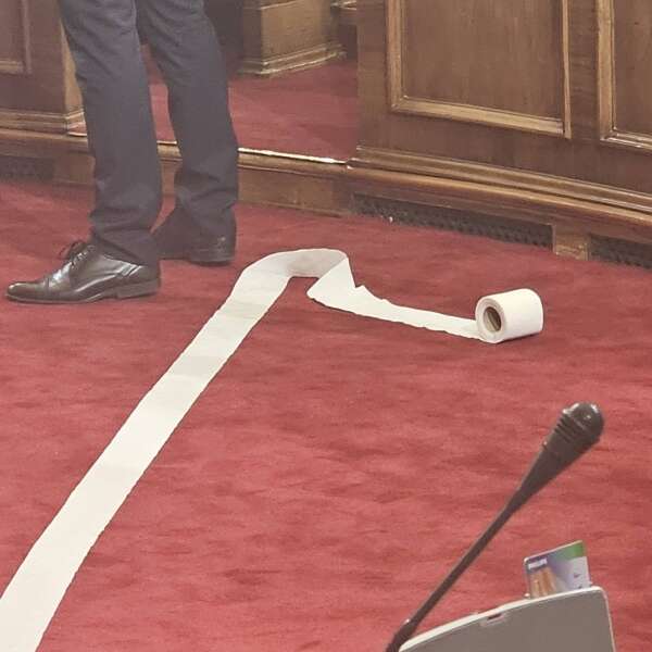 Сербия, туалетная бумага, парламент Сербии, Ана Брнабич