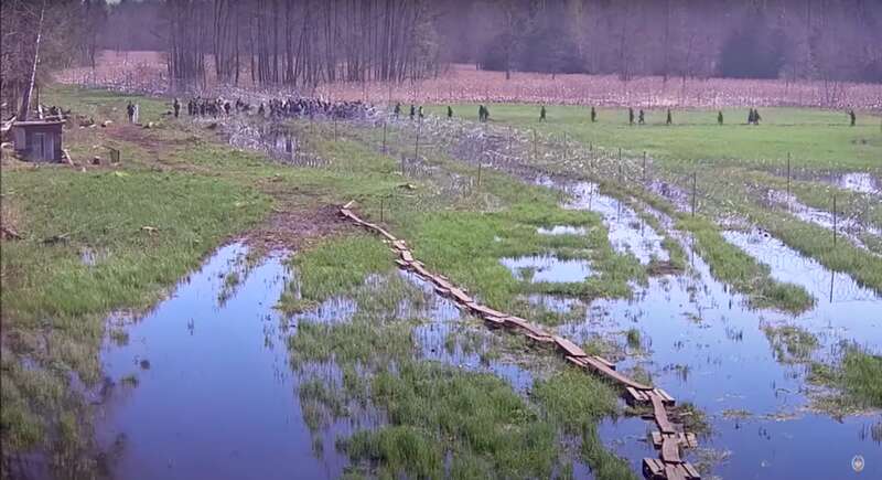 Поводилися агресивно: польські прикордонники зірвали прорив з Білорусі понад 220 нелегалів. Відео
dqxikeidqxidqeant