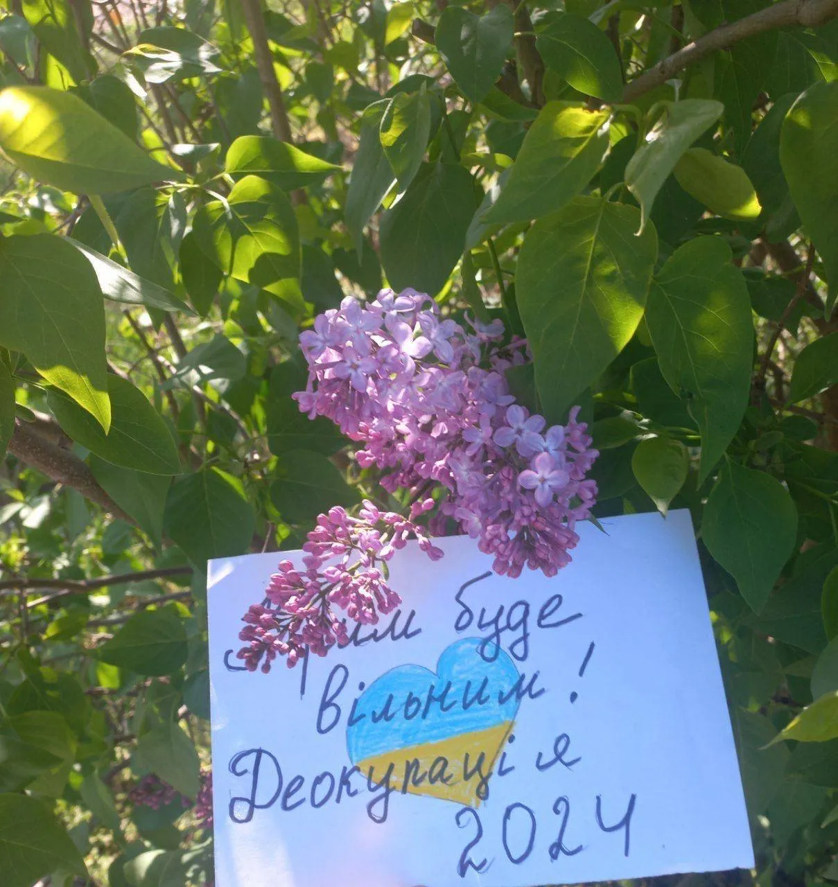 Крим – це Україна: активісти руху