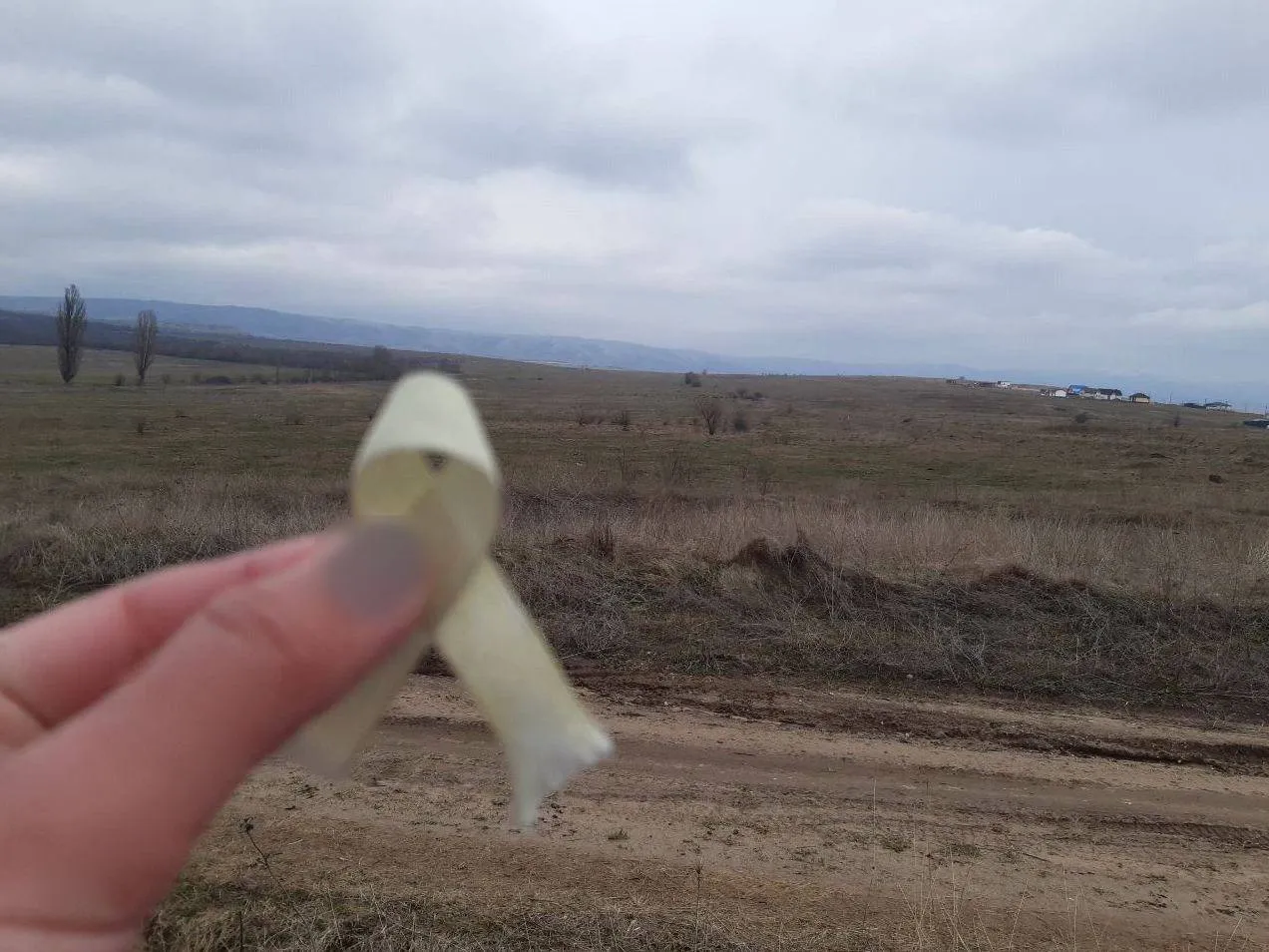 Крим – це Україна: активісти руху