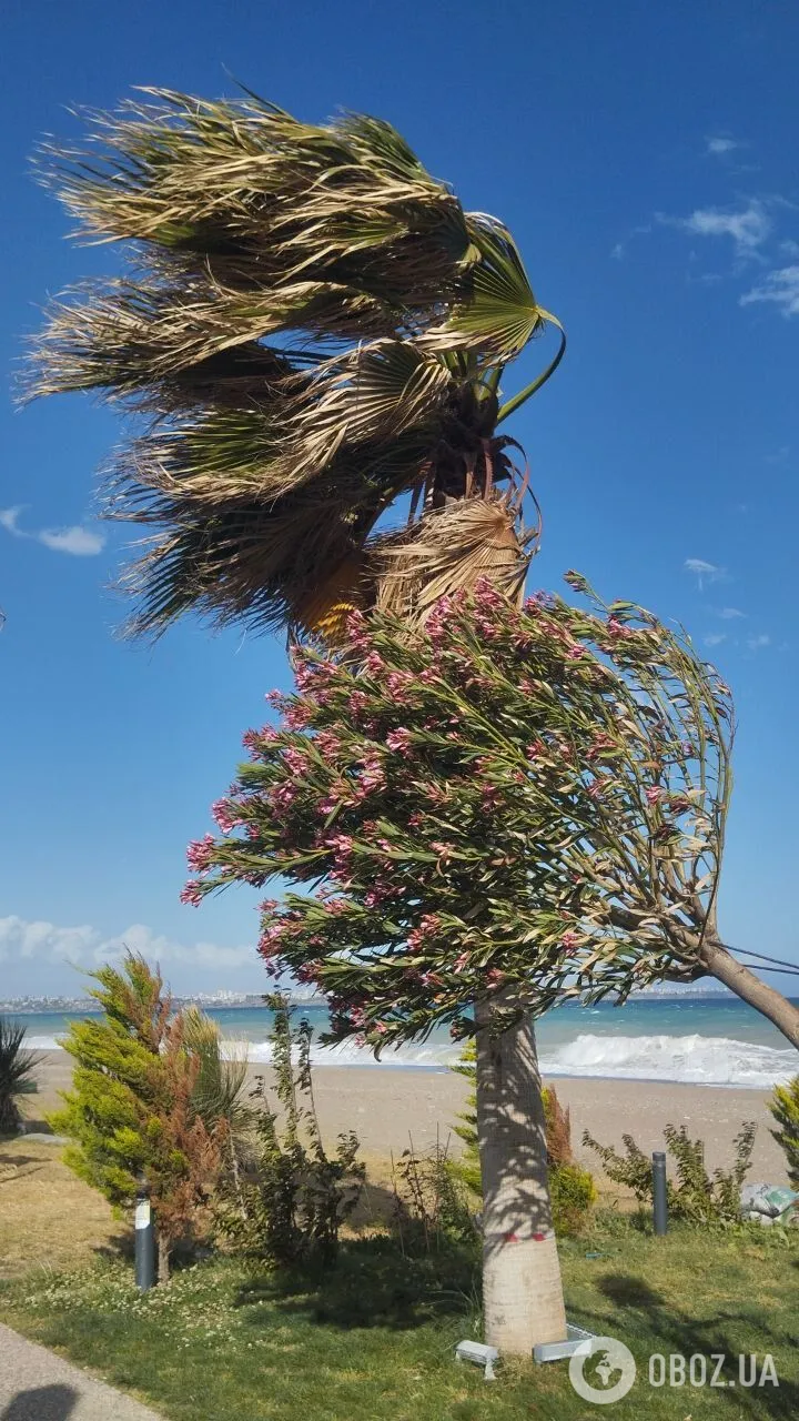     :    .  dqxikeidqxidqrant