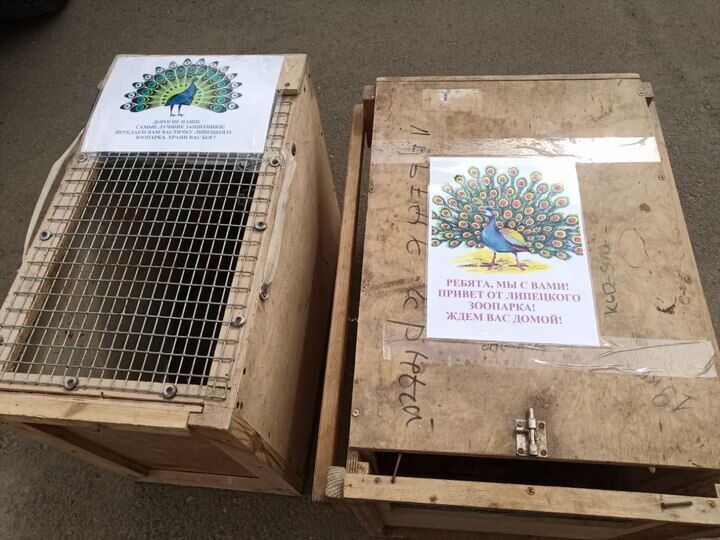 Щоб dqxikeidqxidqrant