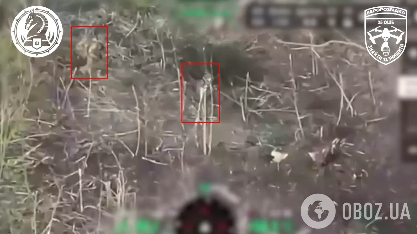 Двоє військовослужбовців країни-агресора dqxikeidqxidqrant