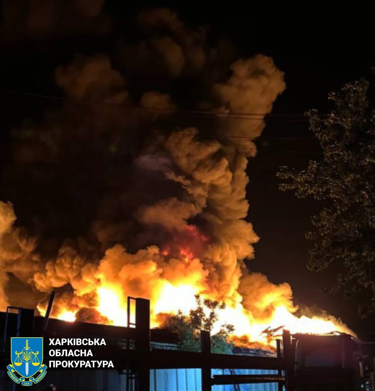 Продолжается расследование по ч. 1 ст. 438 УК