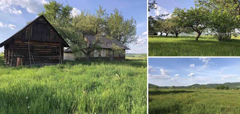 Будинок в Карпатах