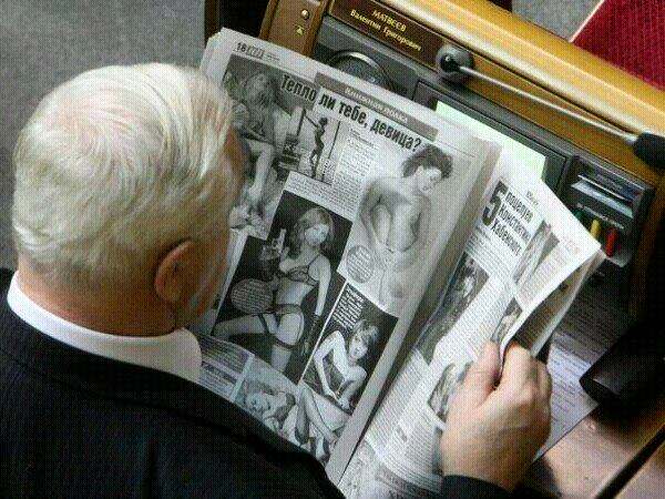 депутат за работой dqxikeidqxidqeant