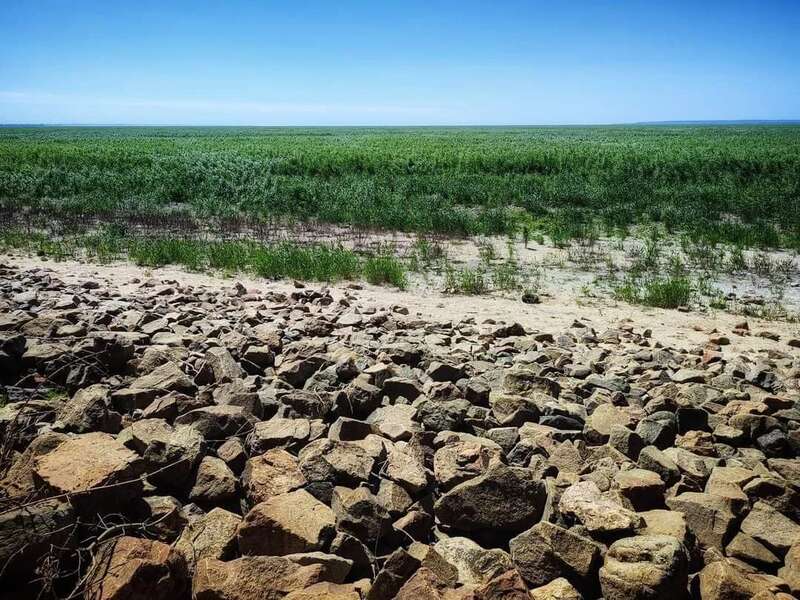   ,     .  dqxikeidqxidqrant