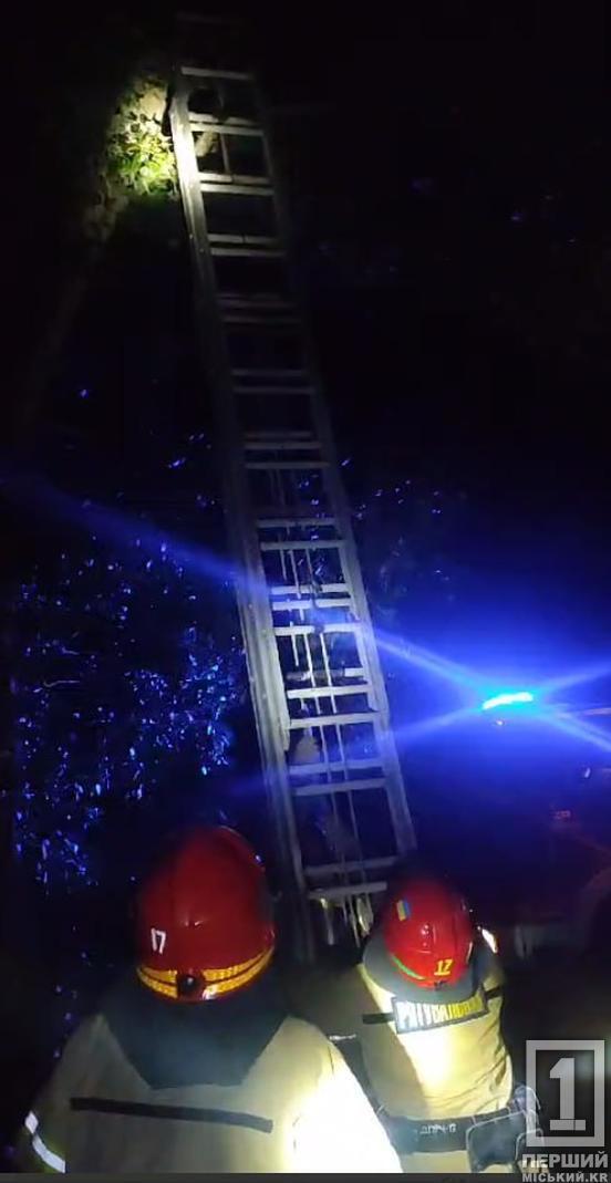 У Кривому Розі 18-річний хлопець застряг на дереві