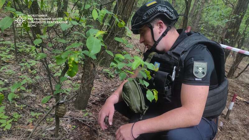 Под Киевом была найдена граната Ф-1 на растяжке, которую оставили российские оккупанты. Фото dqxikeidqxidqrant