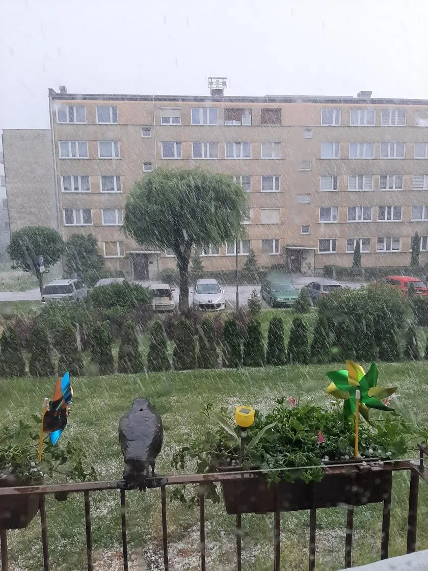 На улицах появились ледовые реки: в Польше пронеслась сильная буря с градом. Фото и видео dqxikeidqxidqrant