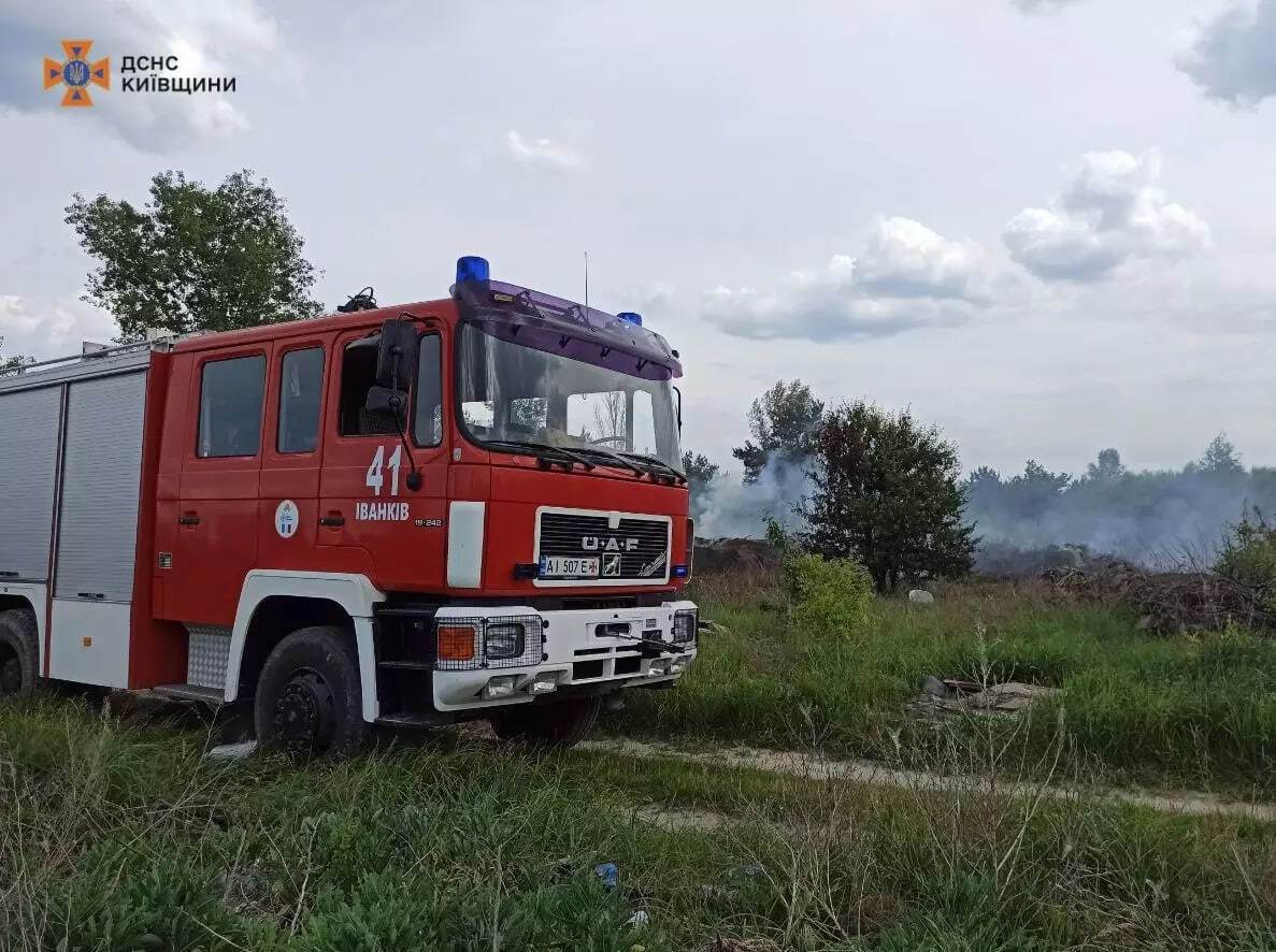 Помітили в купі сміття: на Київщині під час пожежі бійці ДСНС врятували маленького їжака. Фото dqxikeidqxieeant