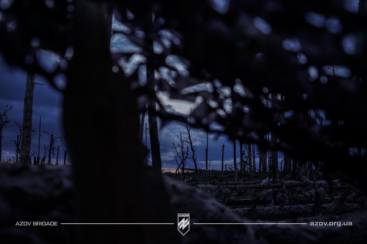 ˳,   :   dqxikeidqxidqrant