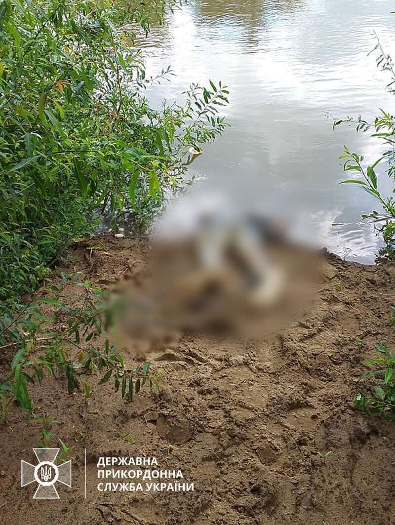 Тело вынесло течением на берег: в Тисе утонул еще один человек dqxikeidqxidqrant