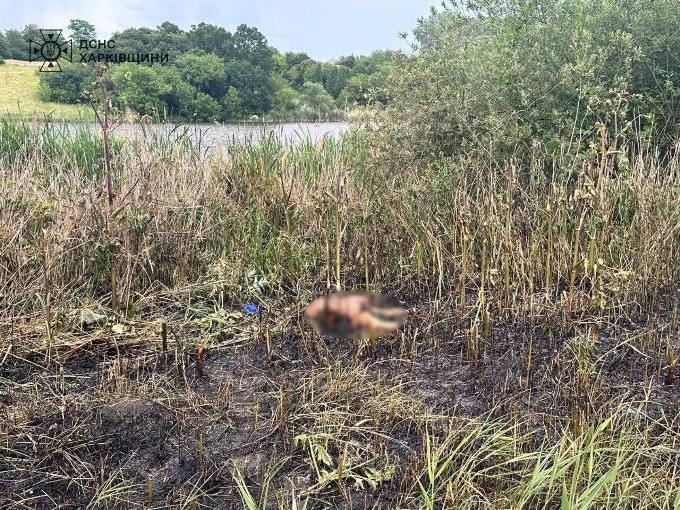  :     |  dqxikeidqxixqant