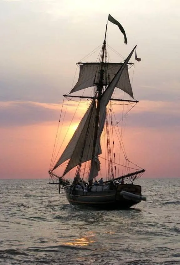 На березі Дунаю в Одеській області знайшли фрагменти старовинного корабля. Фото