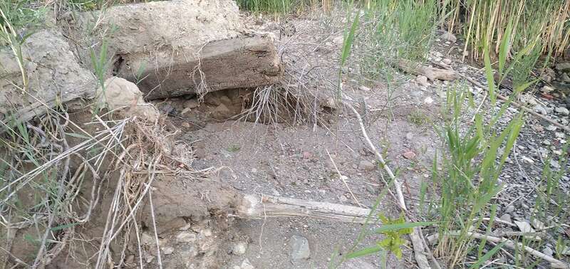 На березі Дунаю в Одеській області знайшли фрагменти старовинного корабля. Фото