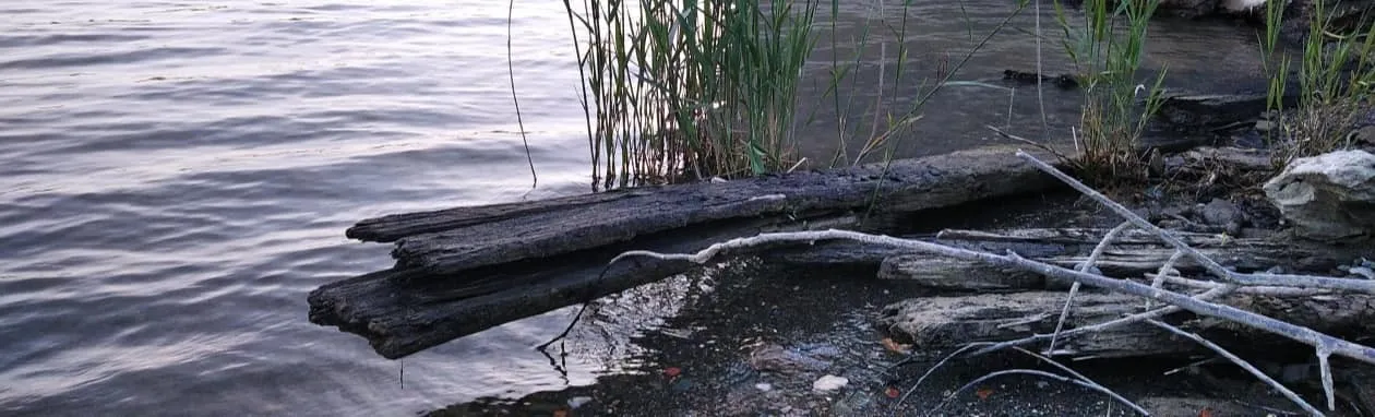 На березі Дунаю в Одеській області знайшли фрагменти старовинного корабля. Фото