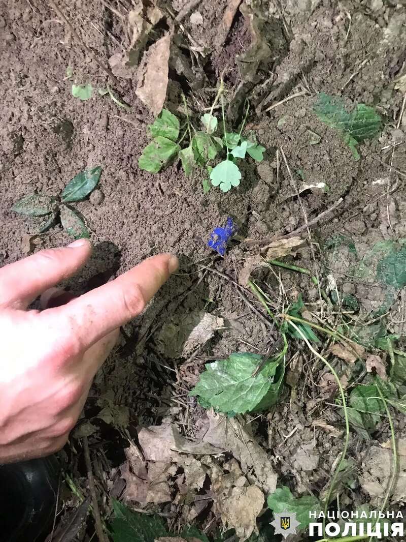      19- .    dqxikeidqxirzant