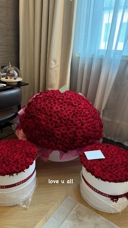 Дівчина Михайла Мудрика dqxikeidqxiqqdant