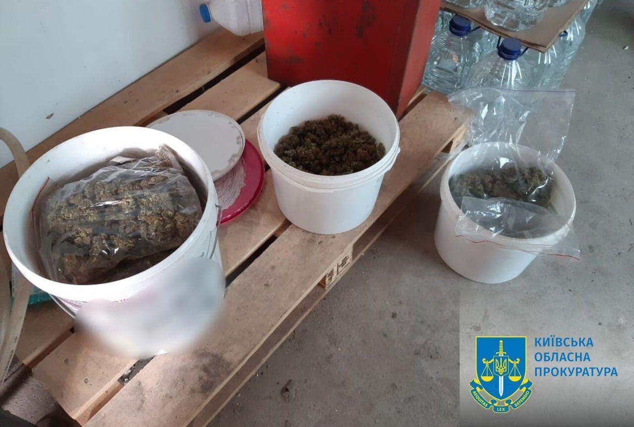 На Київщині судитимуть організовану групу, яка займалася збутом наркотиків. Подробиці справи і фото