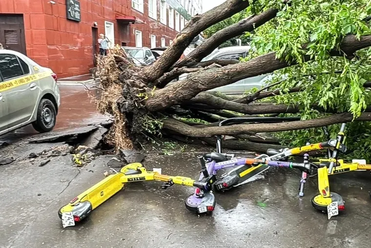     :      ,    . ³ dqxikeidqxidqeant