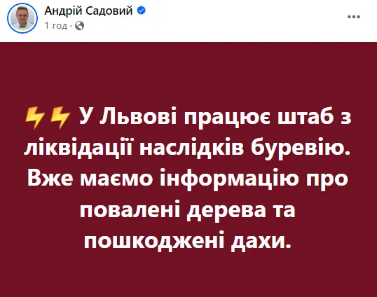 Вітер валив дерева: Львів і область накрила потужна гроза з градом. Фото та відео