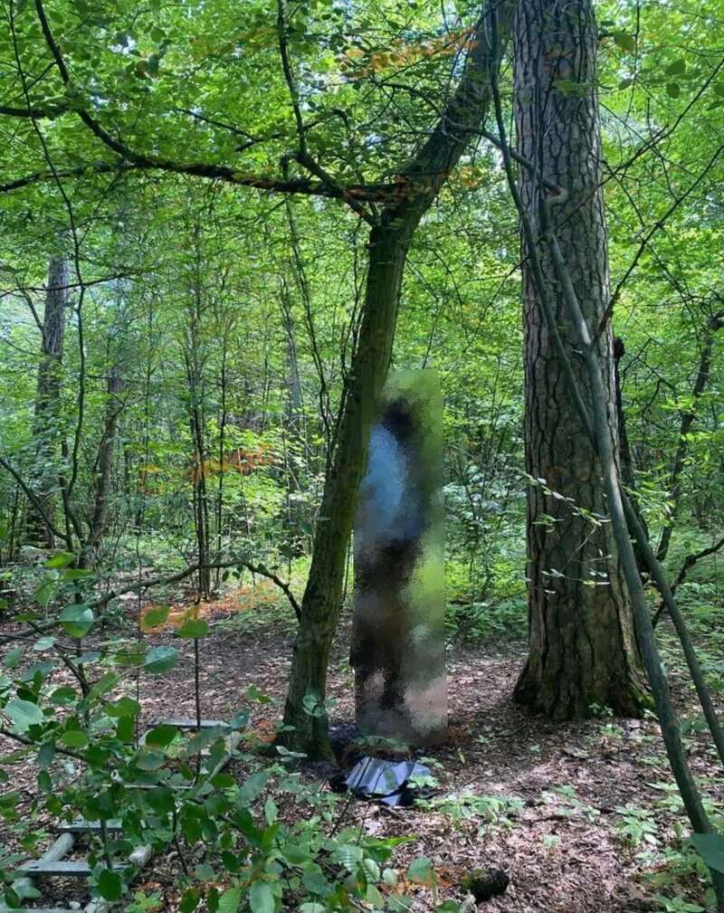 У Києві в лісосмузі виявили тіло самогубця. Подробиці трагедії dqxikeidqxidqrant